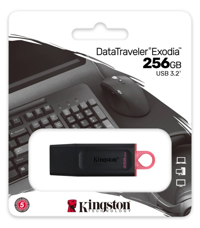 Kingston 256GB DTX USB 3.2 Traveler Exodia USB Flash Drive